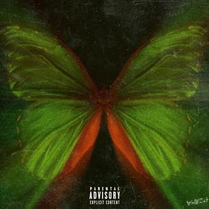 The Butterfly Effect