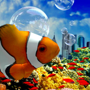 New World Entertainment 2007