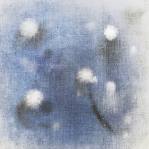 선망의 여름이야