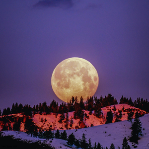 Love Is Wrong (Relaxing Piano Music Version)