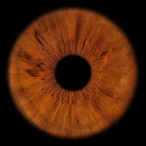 Подсознание