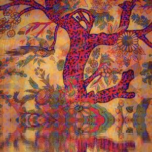 Uke