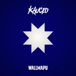 Wallmapu (Radio)