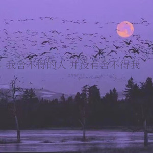 那天我听人说思念像风