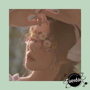 *免费*“春桃客栈” 春季限定 Guitar Pop Type Beat