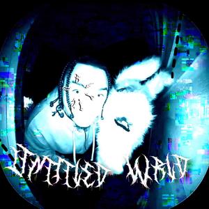 BYB X STACKBOI CYPHER 2024 (feat. Stackboi Setti, Alexander Wright & ihatedread)