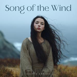 Amhrán na Gaoithe (Song of the Wind)