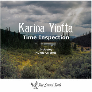 Night Inspection (Karina Yiotta Remix)