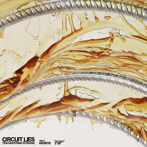 Circuit Lies (You Don't Have to Know)