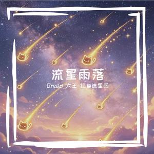 你知道 ...... 内颗╥﹏╥属于你的流星雨✨️落在了哪里么