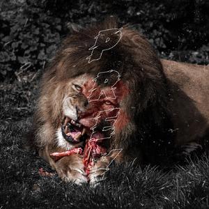 猎物*PREY(Prod.smokerose)