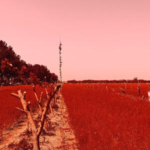 三十三 （Demo）