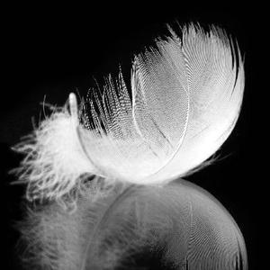 Ikuinen matka (uniin)