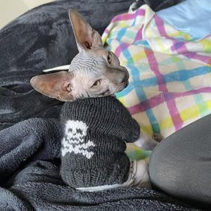 zYm-out ofmy Supreme(DJ Set remix)（嘿DJSet remix）