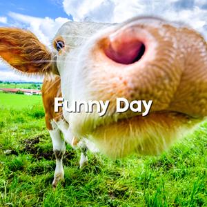 Funny Day