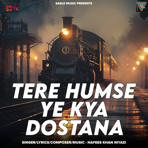 TERE HUMSE YE KYA DOSTANA
