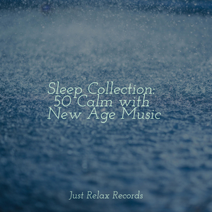 Footprints in Echoed Silence