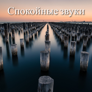 Блаженные ритмы