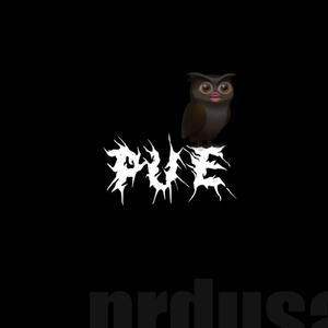 Pue