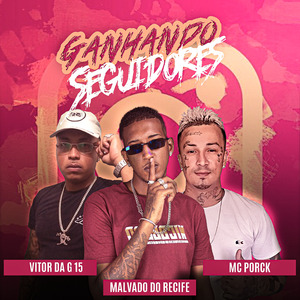 Ganhando Seguidores