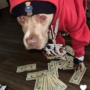 Talkin Krazy (feat. 315NIGHTS & Yung fuego)