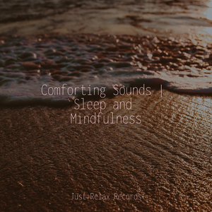 Silent Sanctuary's Solace