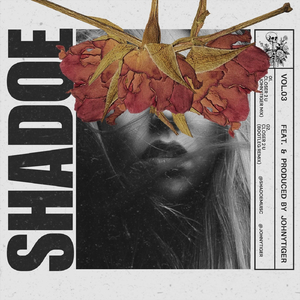 Closer 2 U (Shadoe Bootleg Mix) [feat. JohnyTiger]