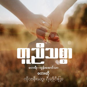 တူညီသစ္စာ