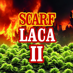 SCARF x LACA II