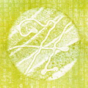 Anomalías de la Realidad