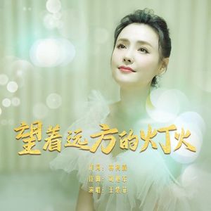 望着远方的灯火