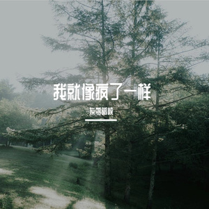 我就像疯了一样