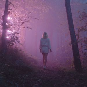 Whispers in the Mist