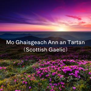 Mo Ghaisgeach Ann an Tartan (Scottish Gaelic)