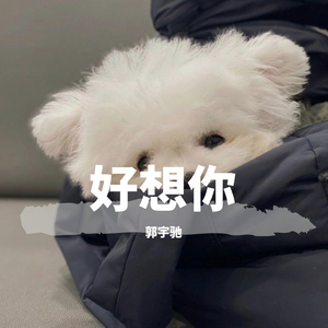 好想你（翻自 某个不愿意透露姓名的人）