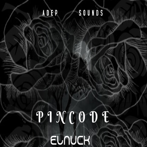 Pincode