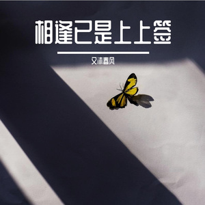 相逢已是上上签