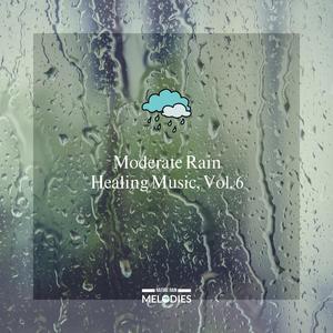 Noisy Night Crickets