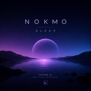 Sleep, Vol. 1