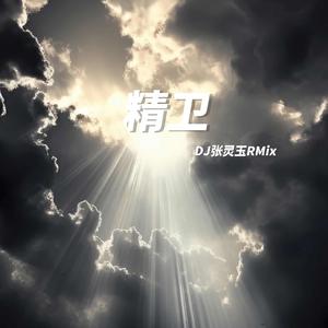 陈千chan-精卫 DJ张灵玉RMix