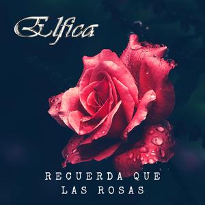 Recuerda Que Las Rosas