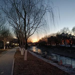 Smiling Depression（微笑抑郁）