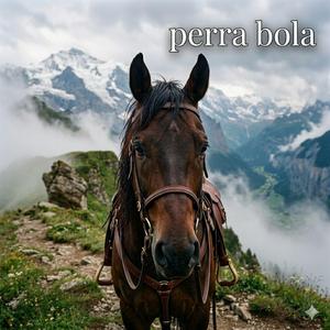 PERRA BOLA