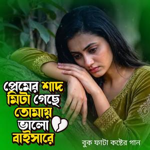 প্রেমের শাদ মিটা গেছে তোমায় ভালো বাইসা রে 2 (Female Version)
