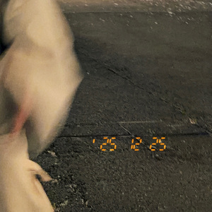 Sleeping in the Coldness