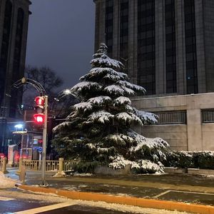 ...then it snowed❄