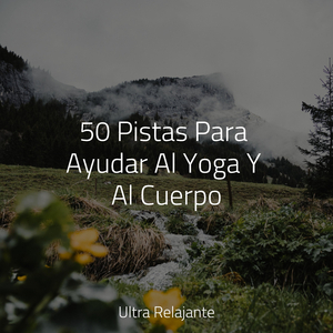 Sesiones Yoga en Colchoneta