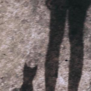 วินาทีสุดท้าย (Last Sec)