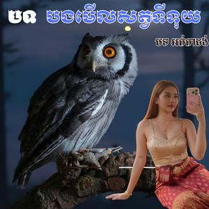 បងមើលសត្វទីទុយ+_រាំវង់+កន្ទ្រឹម_ ពិរោះណាស់ #រាំវង់អកកាដង់