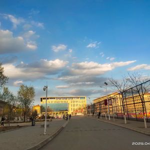 不起眼的杂草根